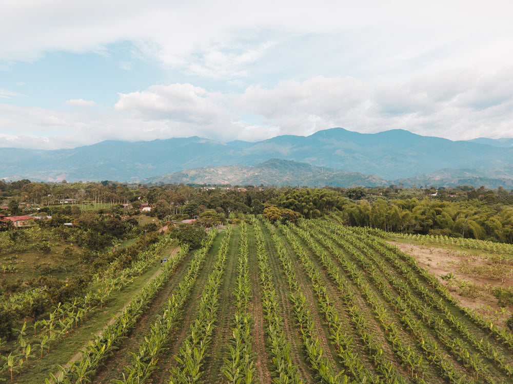 Regenerative Agriculture: Striving for a Better Future