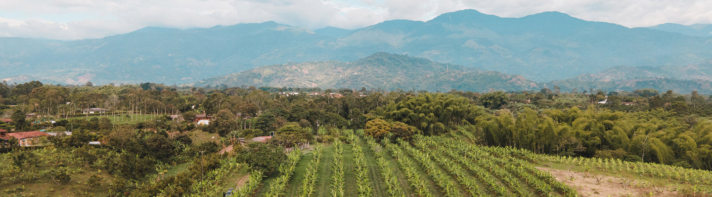 Regenerative Agriculture: Striving for a Better Future