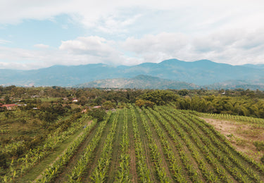 Regenerative Agriculture: Striving for a Better Future