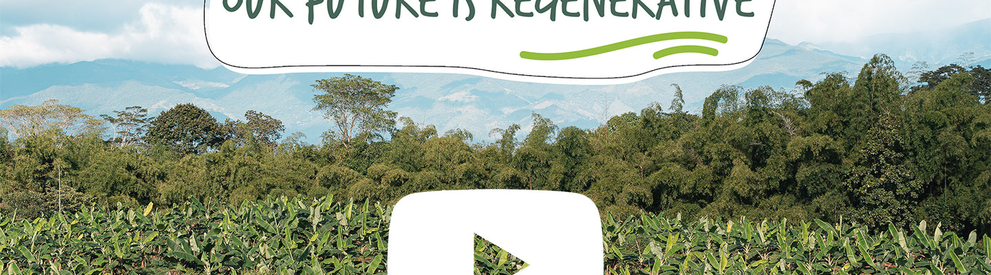 Our Future is Regenerative!
