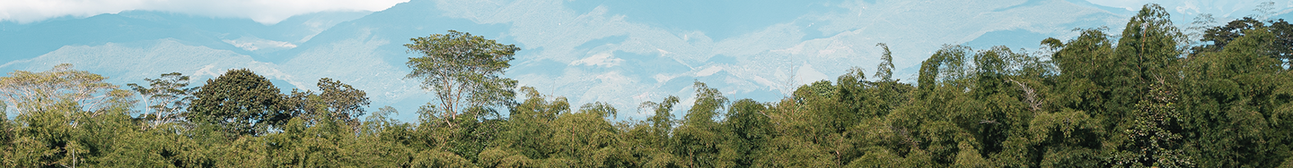 Landscape picture of Colombia's Coffee Region