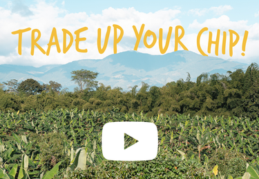 Picture of Colombian Landscape With Words Trade Up Your Chip and a Video Icon